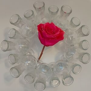 Vintage Glass Cluster Bud Vase/Propagation